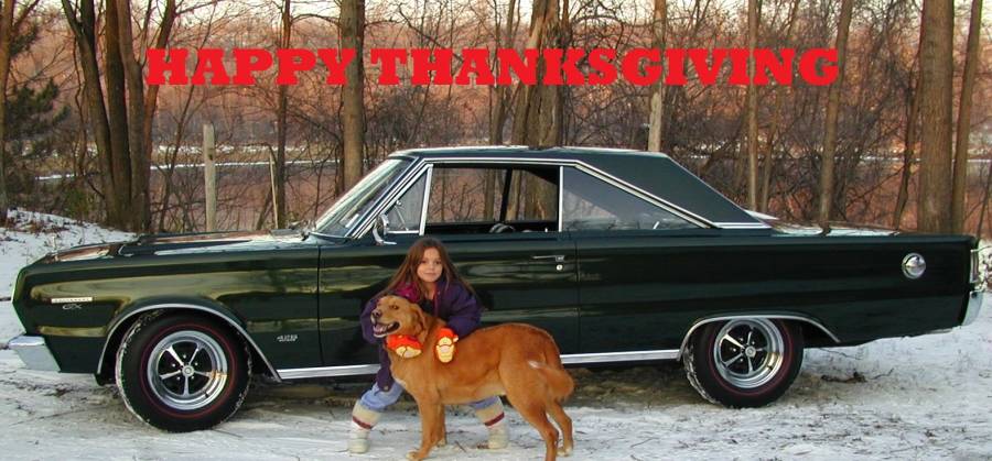 Attached picture happy thanksgiving  Tess shadow.jpg